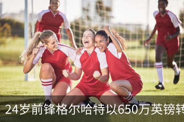 24岁前锋格尔哈特以650万英镑转会赫尔城，创下职业最佳表现
